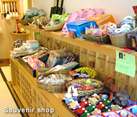 Souvenir shop